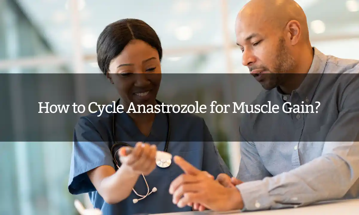 How to Cycle Anastrozole for Muscle Gain?